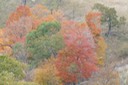 2009-10-14_10-37-14