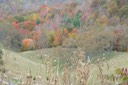 2009-10-14_10-37-26
