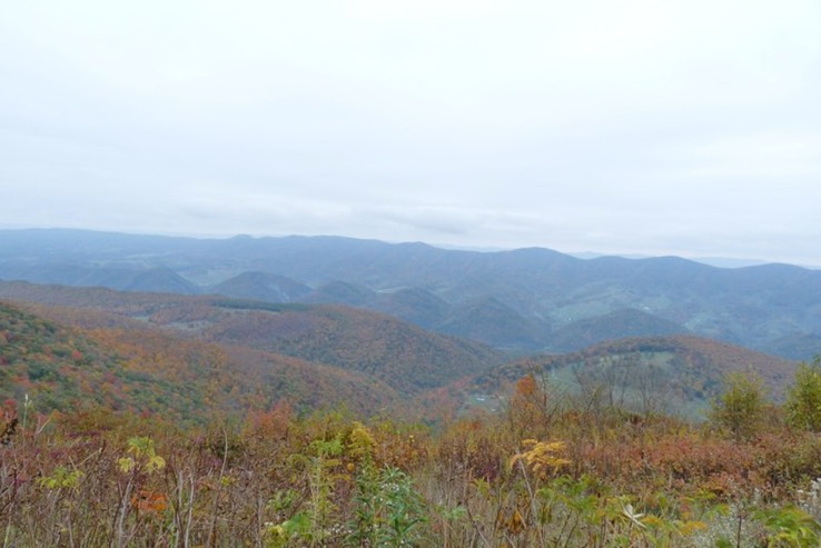 2009-10-14_11-11-17