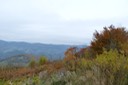 2009-10-14_11-11-25