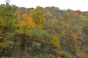2009-10-14_13-24-09