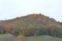 2009-10-15_12-14-38