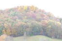 2009-10-15_12-15-35