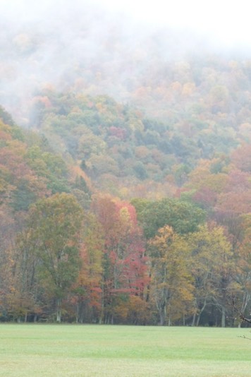 2009-10-15_15-00-54