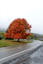2009-10-15_16-11-04
