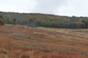 2009-10-16_13-53-04