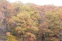 2009-10-16_13-56-50