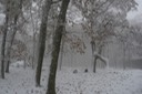 2009-10-18_08-34-37