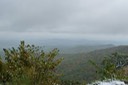 2009-10-18_11-31-56