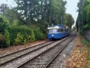 Tram 005